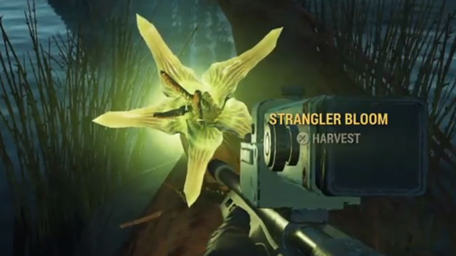 fallout 76 strangler blooms location where to find