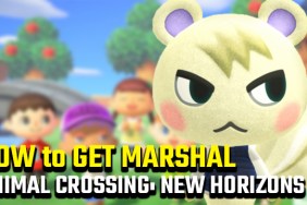 how to get marshal animal crossing new horizons