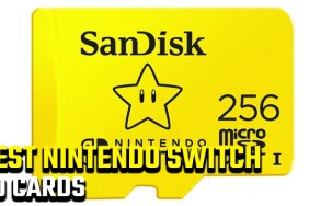 Best Nintendo Switch SD cards