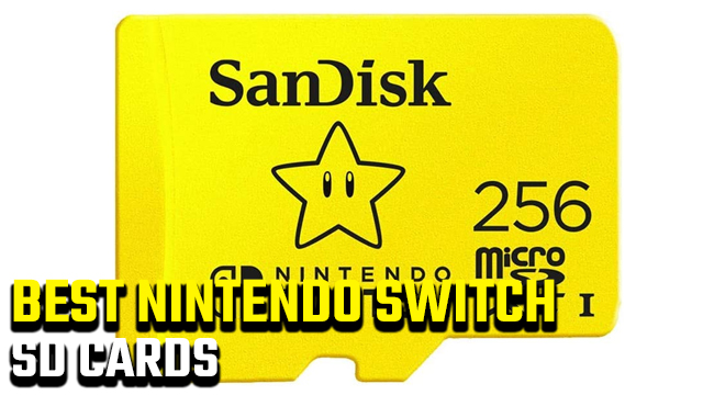 Best Nintendo Switch SD cards