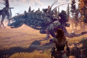 Horizon Zero Dawn 2 PS5 reveal plains