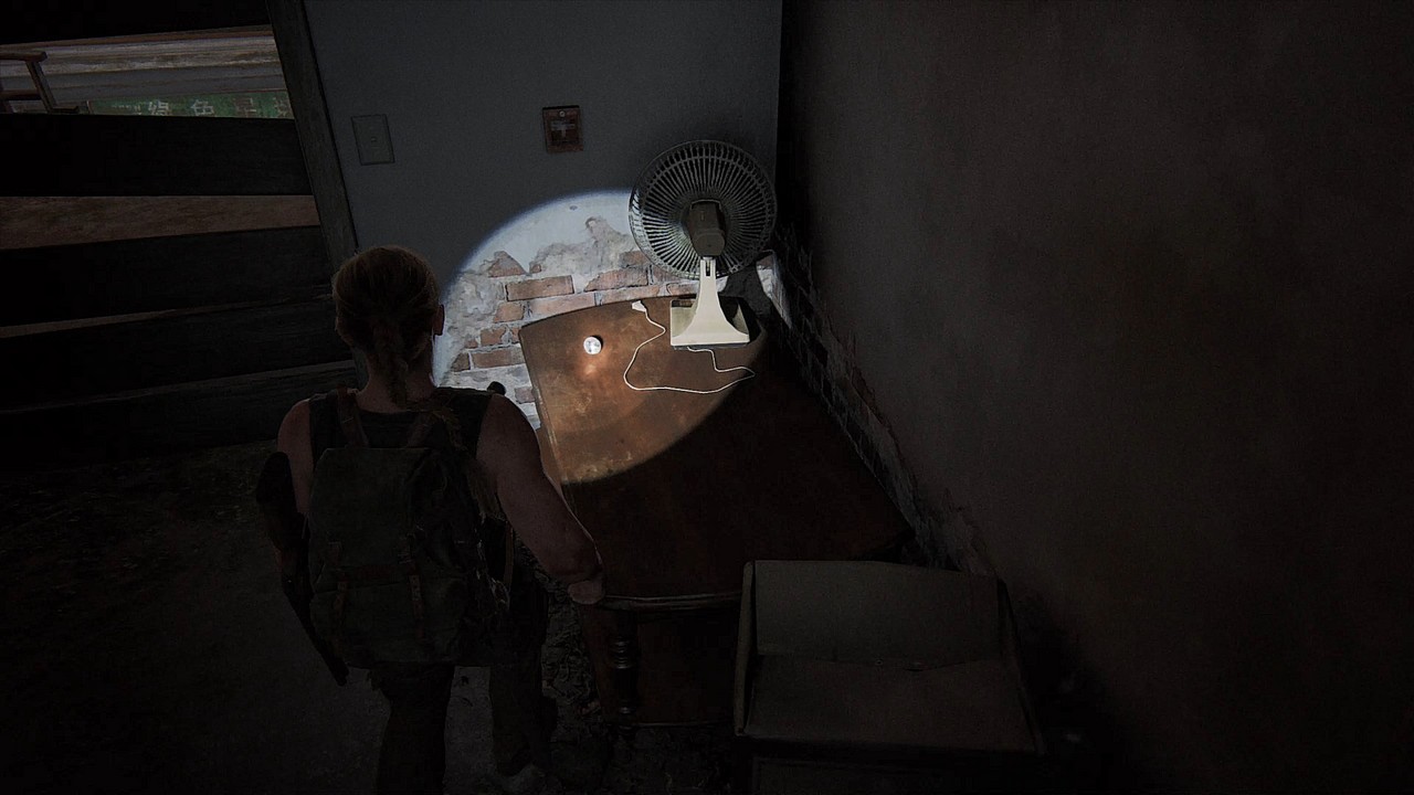 The Last of Us 2 Strange Relic Location Art Store