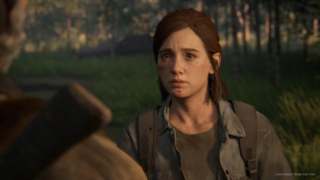 Will The Last of Us 2 have DLC?