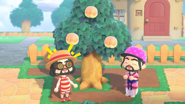 Is Animal Crossing 2 player? peach tree