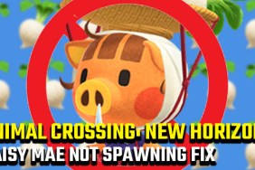 Animal Crossing: New Horizons Daisy Mae not on island fix