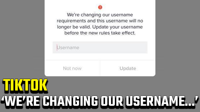 TikTok 'We're changing our username requirements'