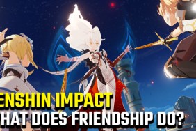 What does friendship do in Genshin Impact