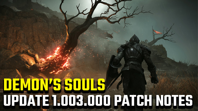 Demon's Souls 1.003.000 update