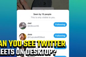 Can you see Twitter Fleets on desktop?