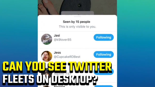 Can you see Twitter Fleets on desktop?