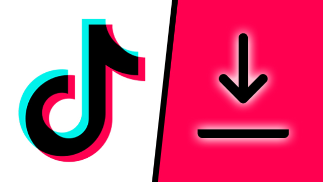 download TikTok videos on PC