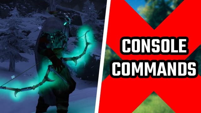 Valheim console commands not working