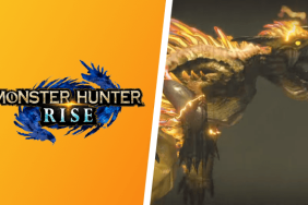 Monster Hunter Rise How to beat Narwa