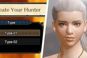 Monster Hunter Rise Male or Female Character