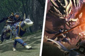 Monster Hunter Rise split-screen