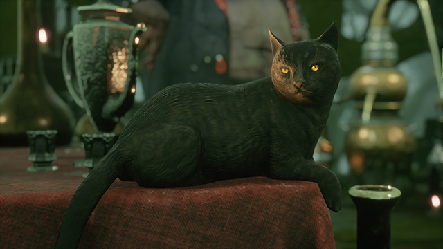 The Mortal Shell PS5 upgrade's best feature is a loud, purring cat