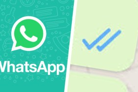 whatsapp what do ticks mean blue grey tick