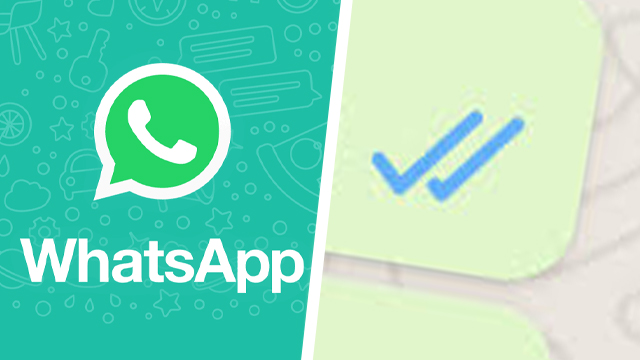 whatsapp what do ticks mean blue grey tick