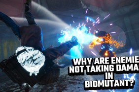 BIOMUTANT ENEMIES NOT TAKING DAMAGE