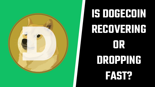 Is Dogecoin going back up or dropping fast?
