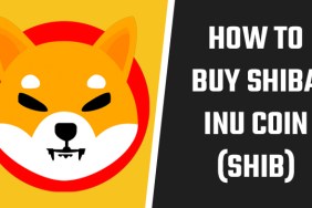 Shiba Inu coin price