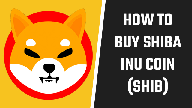 Shiba Inu coin price