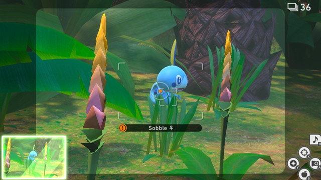 new pokemon snap how to complete in the tall grass