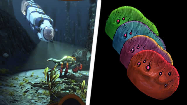 Subnautica Below Zero: Where to find Table Coral