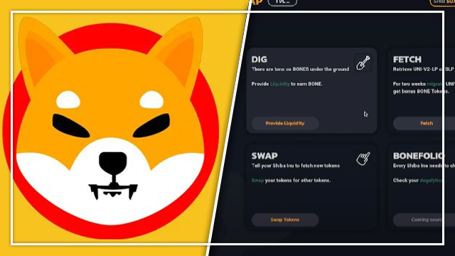 Shiba Swap Launch Date