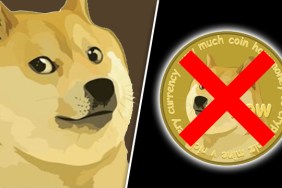 Dogecoin ban