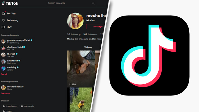 skip through TikTok videos