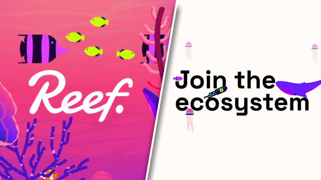 Reef crypto token