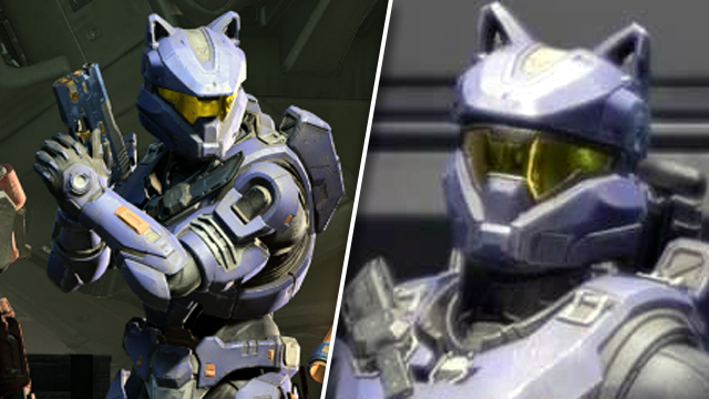 Halo Infinite cat ears