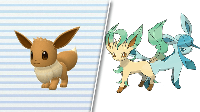 Pokemon Brilliant Diamond Shining Pearl Catch Eevee Evolve Leafeon Glaceon