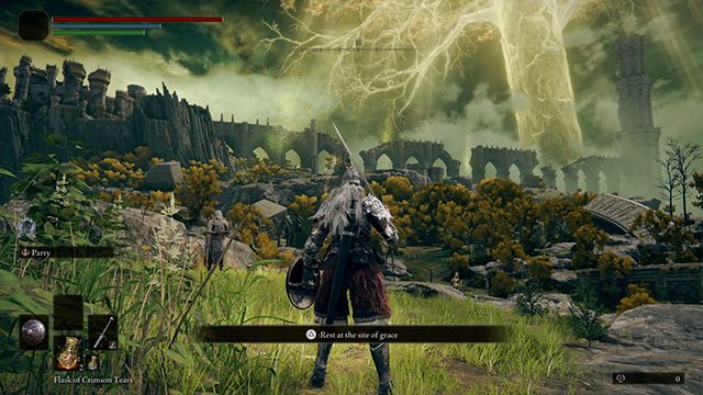 Elden Ring 'Frame Rate Unsuitable For Online Play' Error Fix