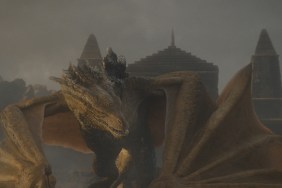 how many dragons in house of the dragon