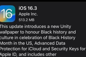 ios 16.3