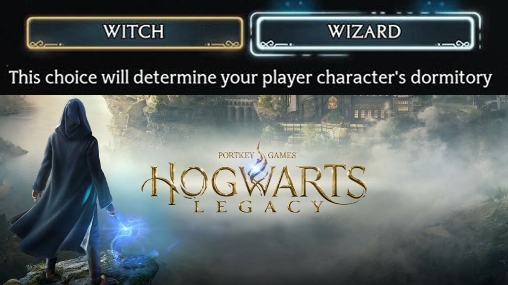 Hogwarts Legacy Witch or Wizard Dormitory Choice