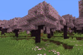 Minecraft 1.02 Update