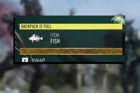 warzone 2 fish item