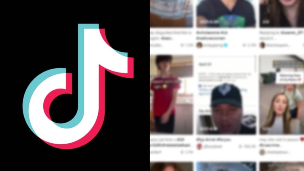 TikTok Showing Videos With No Likes