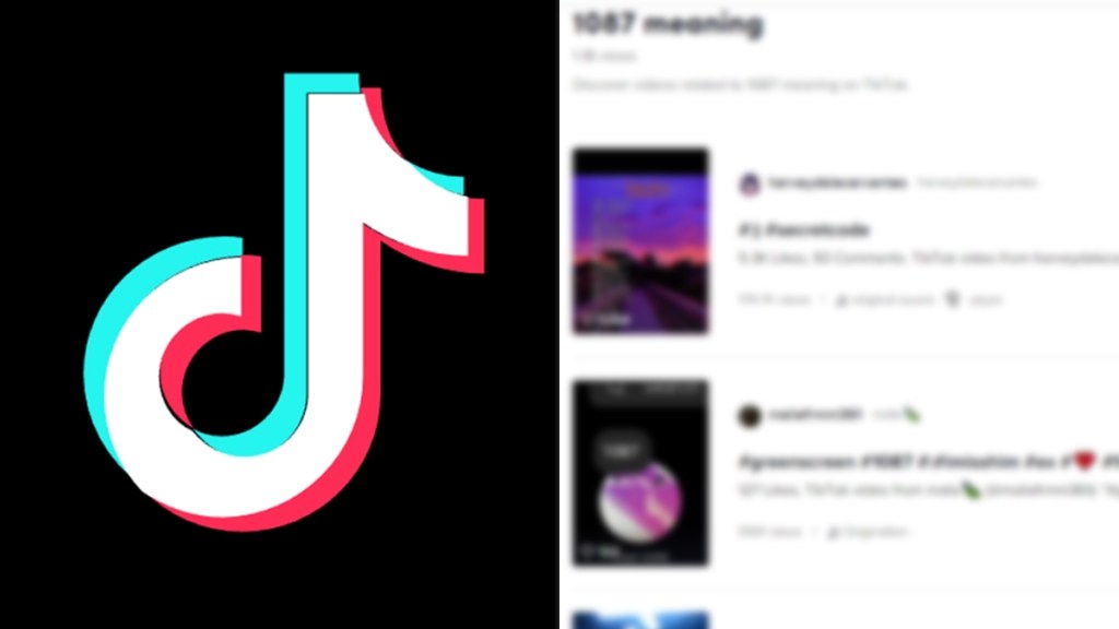 TikTok 1087 Meaning