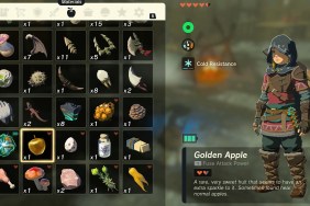 Zelda: Tears of the Kingdom Golden Apple Recipe TotK