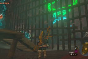 Zelda: Tears of the Kingdom Marari-In Shrine Location Gate