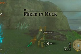 Zelda: Tears of the Kingdom Mired in Muck Solution