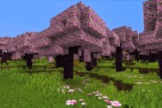 Minecraft Cherry Blossom Wood