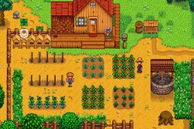 Stardew Valley: The farmer admiring all their crops.