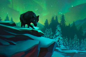 The Long Dark