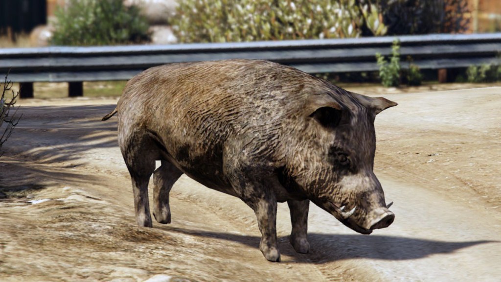 GTA Online Boar Location