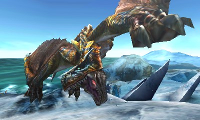 Monster Hunter 4 Ultimate #8